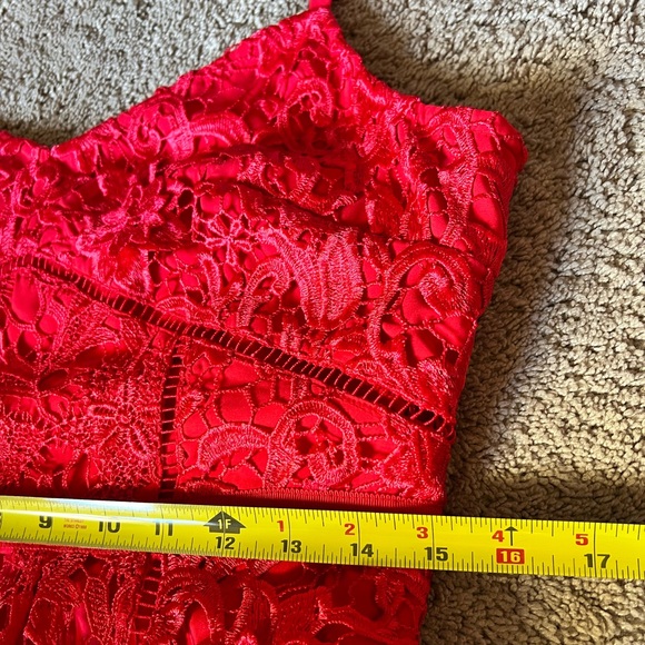 NWOT Ted Baker Valens mixed lace midi dress, Ted size 3 (regular 8) - Picture 10 of 12